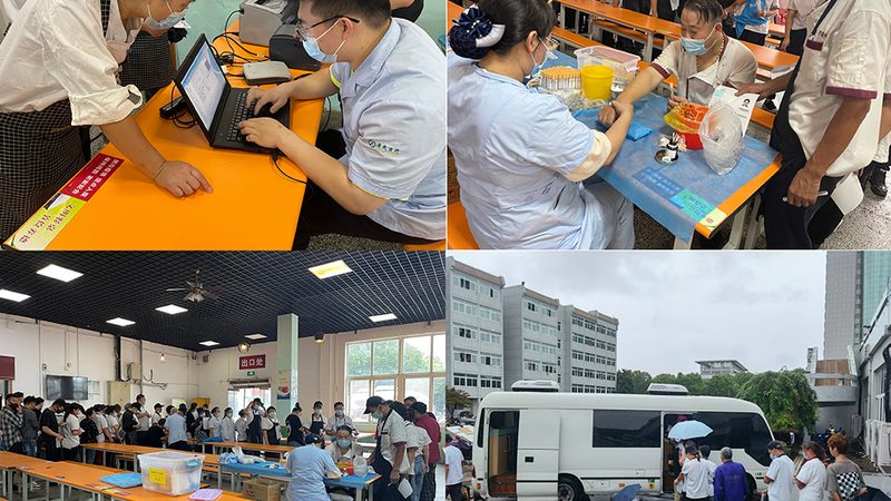 如何解读健康证检查报告：关键步骤与注意事项